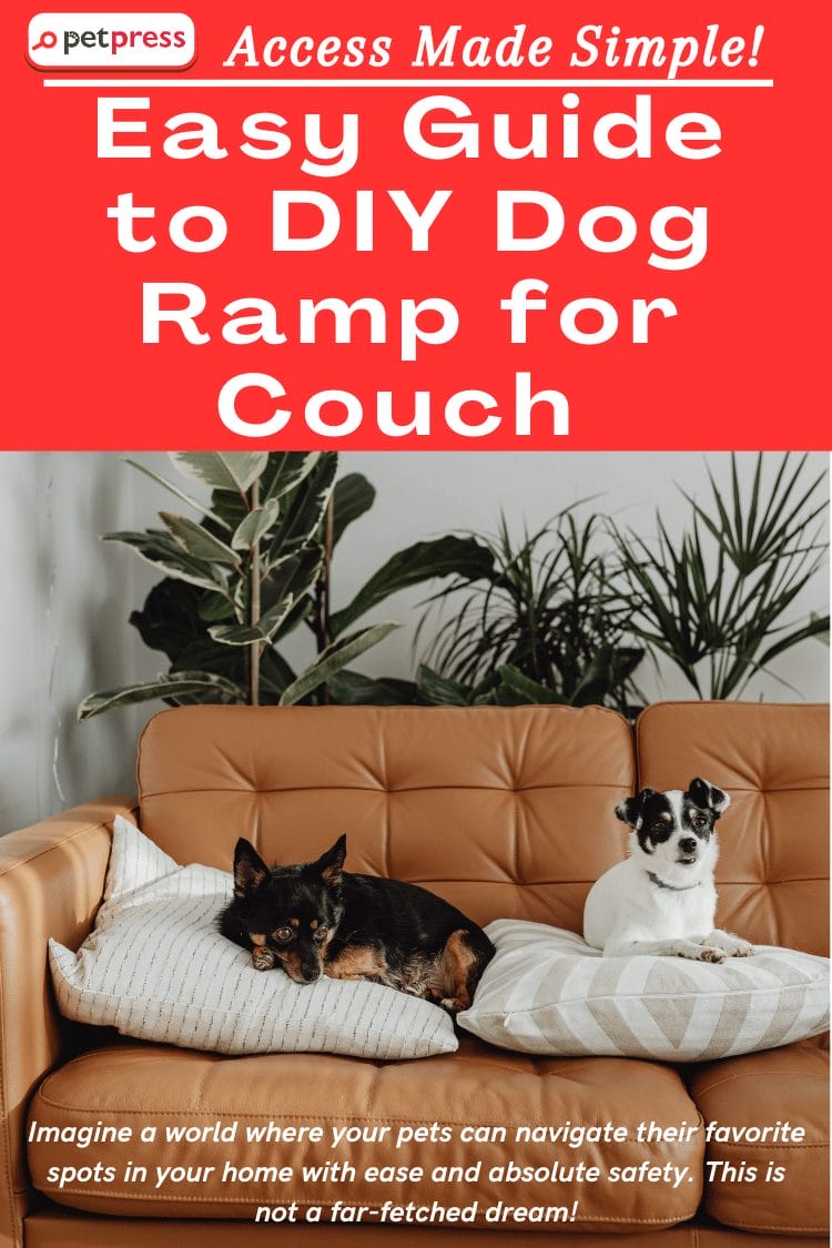 Easy Guide To DIY Dog Ramp For Couch Access Made Simple PetPress   1 Diy Dog Ramp For Couch 