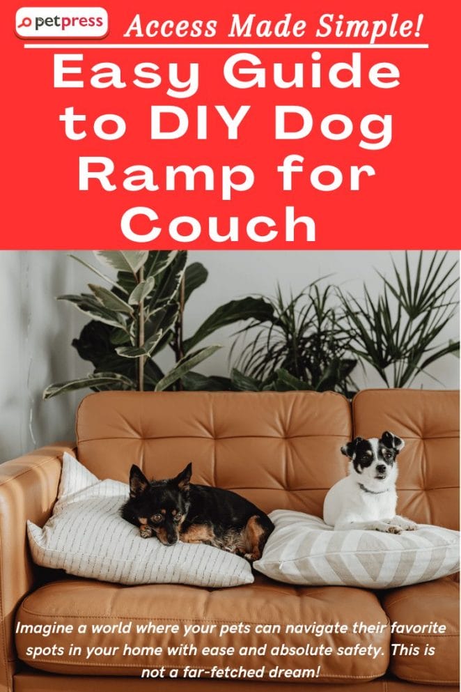 diy dog ramp for couch