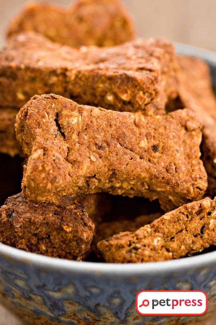 DIY Dog Treats With Pumpkin Explore the Easy Recipe Inside! PetPress