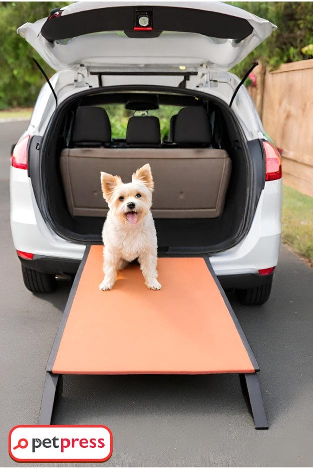 DIY Dog Ramp for Car Save Money & Keep Your Pup Safe PetPress