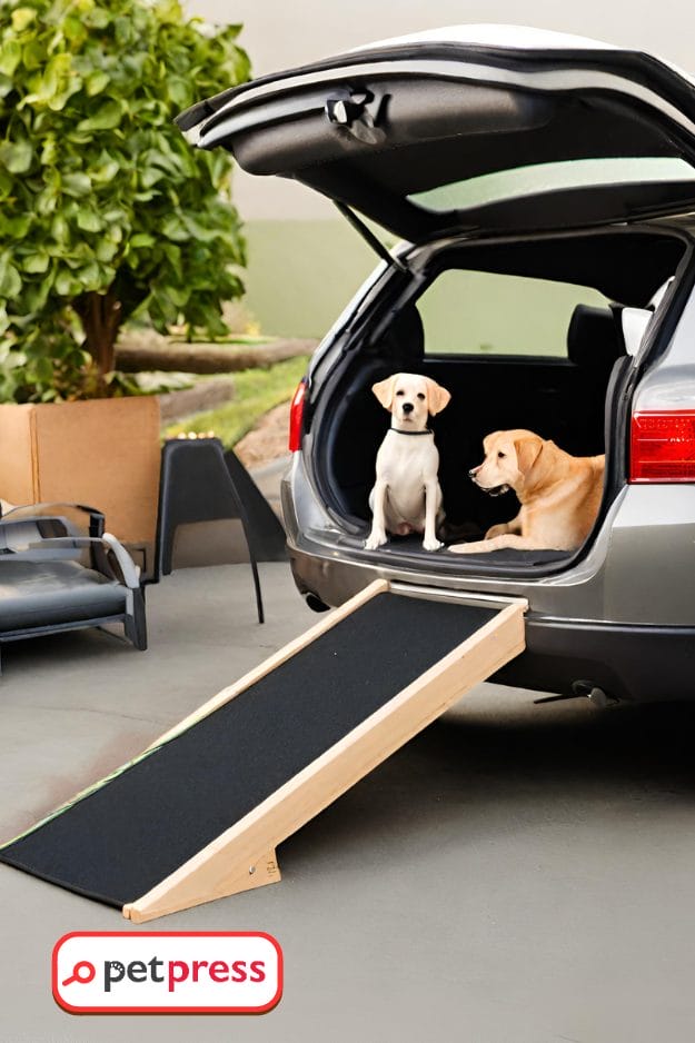 DIY Dog Ramp for Car