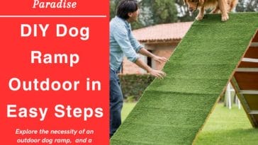DIY Dog Ramp Outdoor