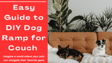 DIY Dog Ramp for Couch