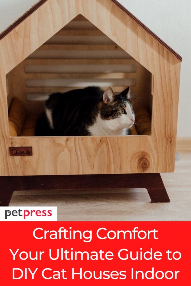 Crafting Comfort Your Ultimate Guide to DIY Cat Houses Indoor