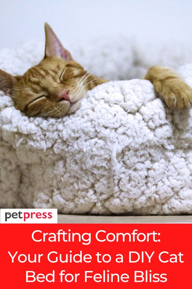 Crafting Comfort Your Guide To A DIY Cat Bed For Feline Bliss crafting-comfort-your-guide-to-a-diy-cat-bed-for-feline-bliss