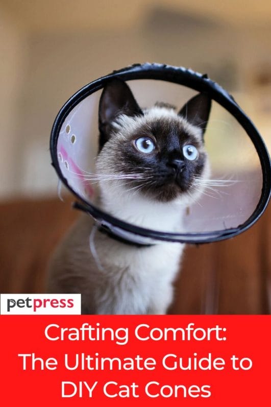 Crafting Comfort The Ultimate Guide to DIY Cat Cones
