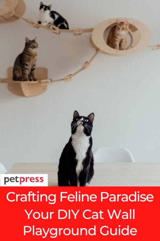 Crafting Feline Paradise Your DIY Cat Wall Playground Guide