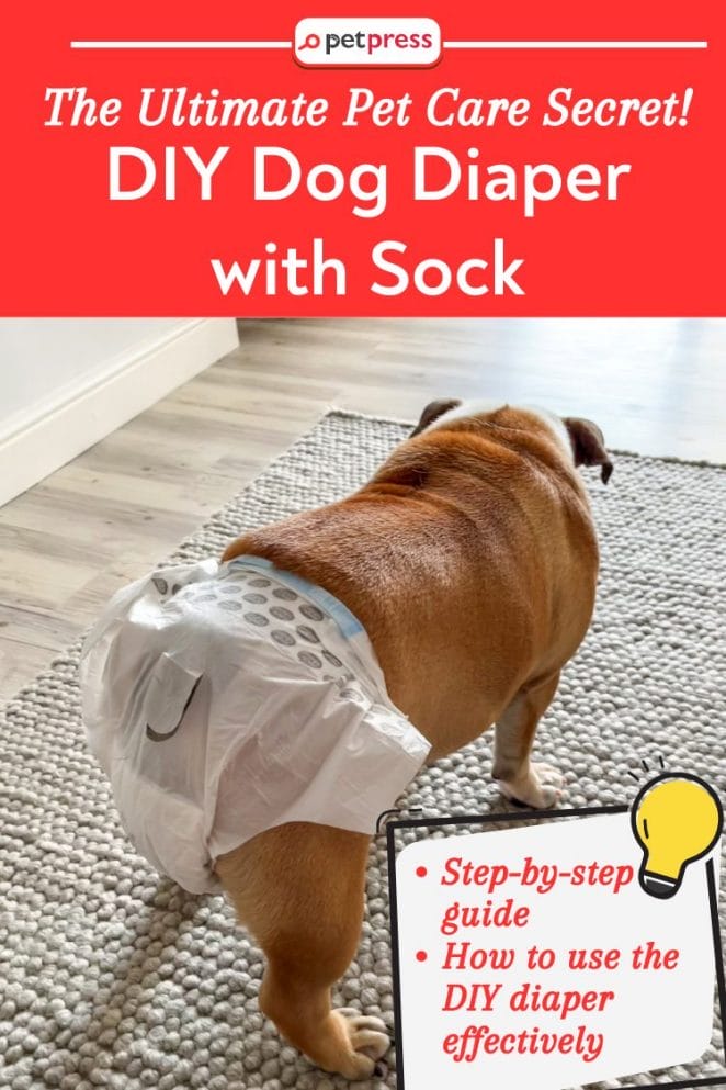 DIY Dog Diaper with Sock