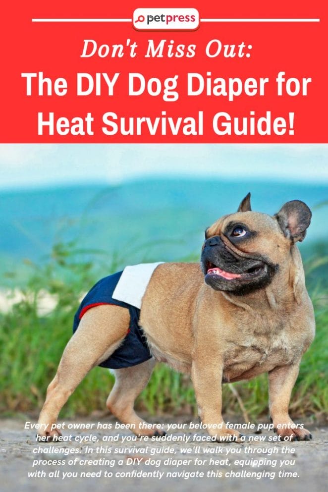 Don't Miss Out: The DIY Dog Diaper for Heat Survival Guide