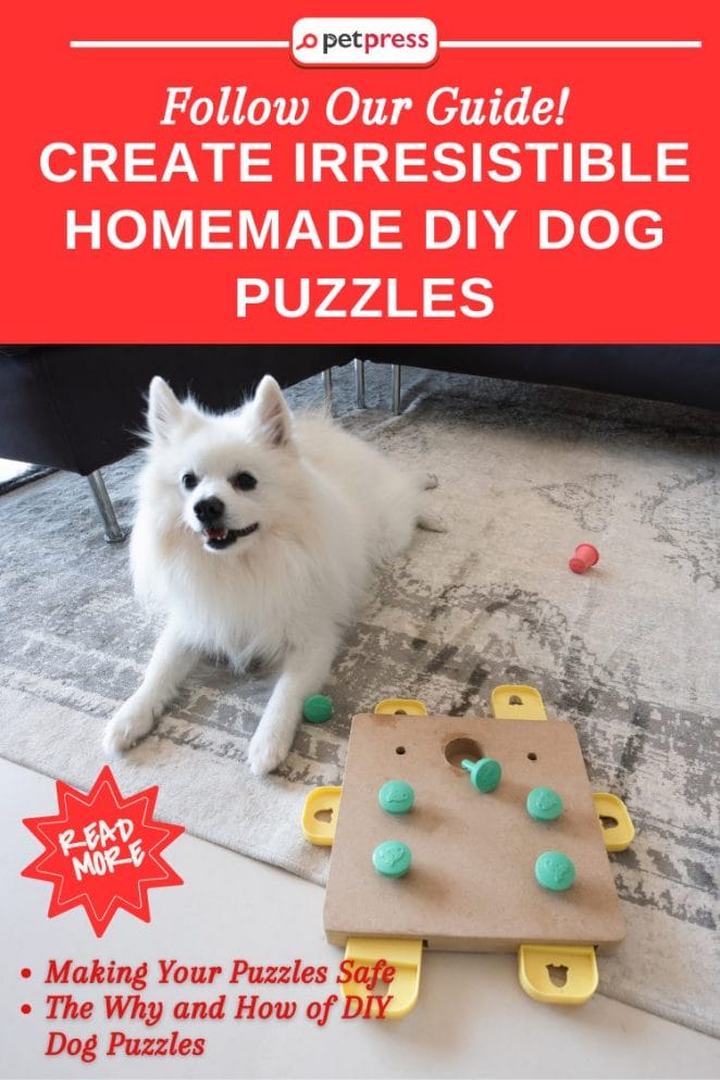Homemade DIY Dog Puzzles