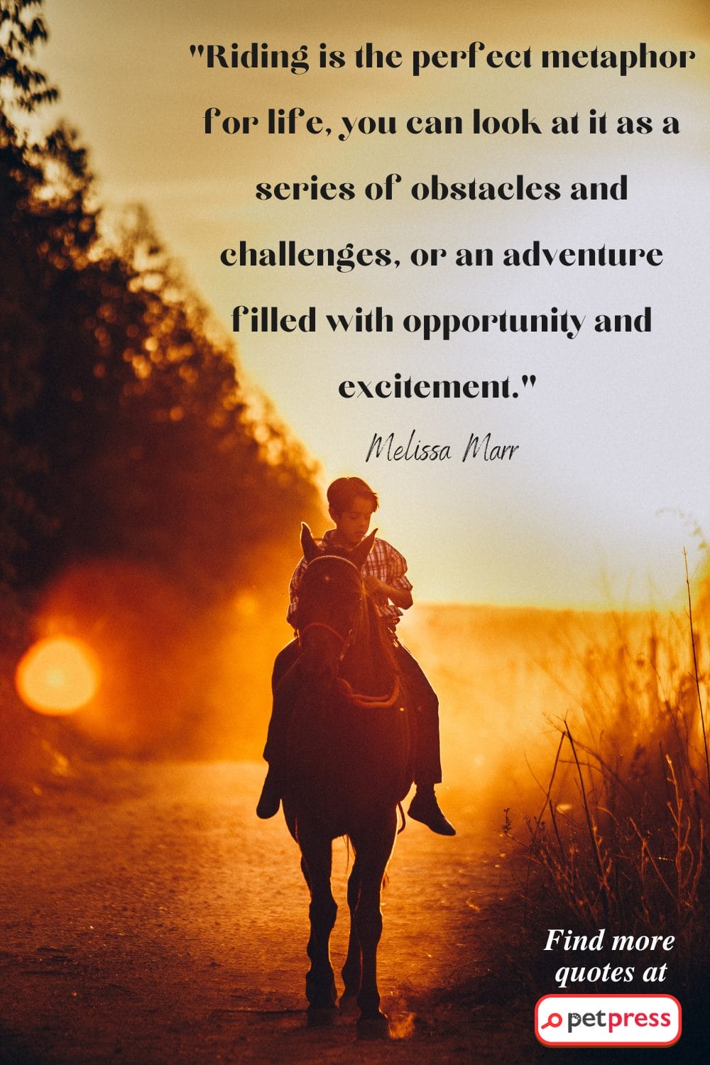 Inspiring Horse Quotes