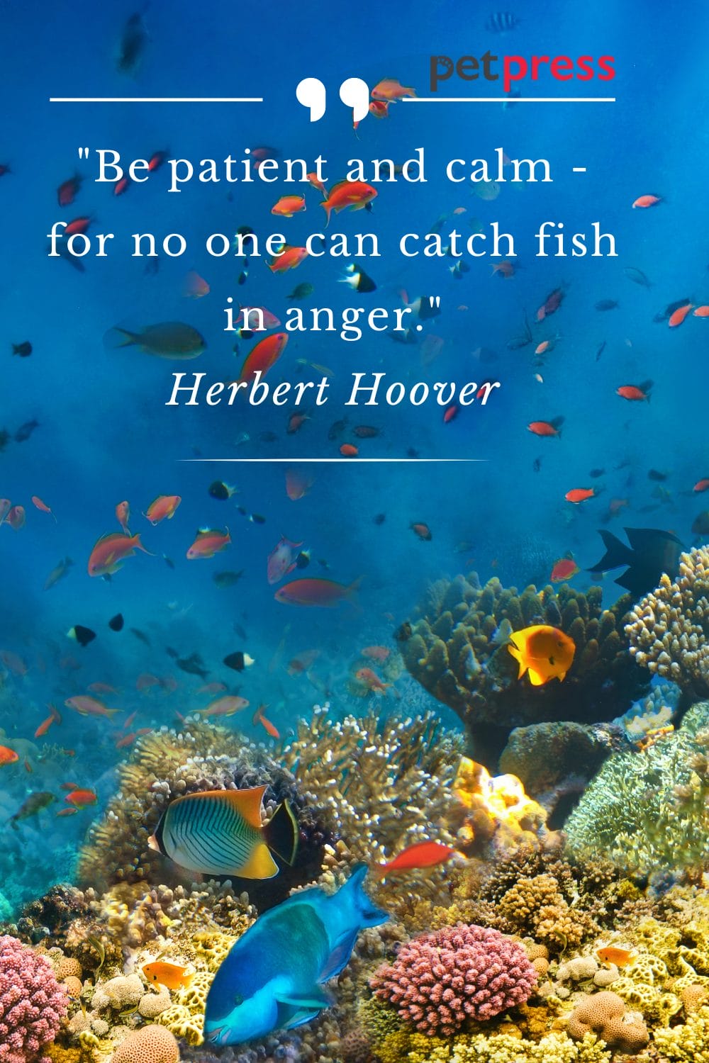 Fish in the Sea Quotes