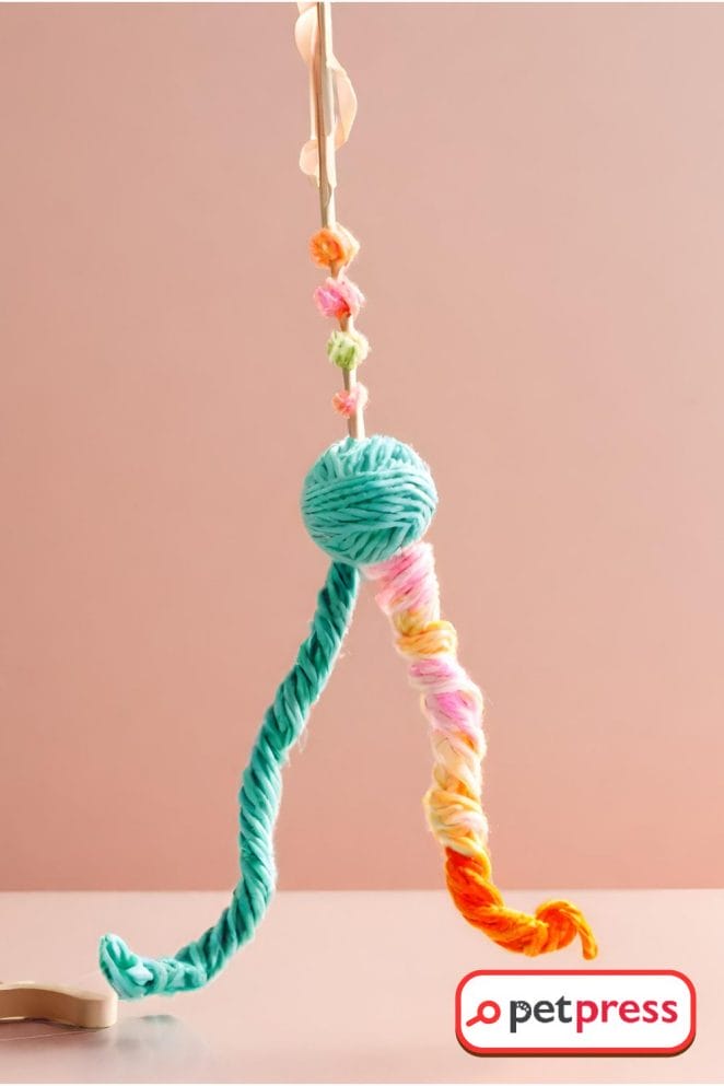 DIY Cat Toys with Yarn Projects