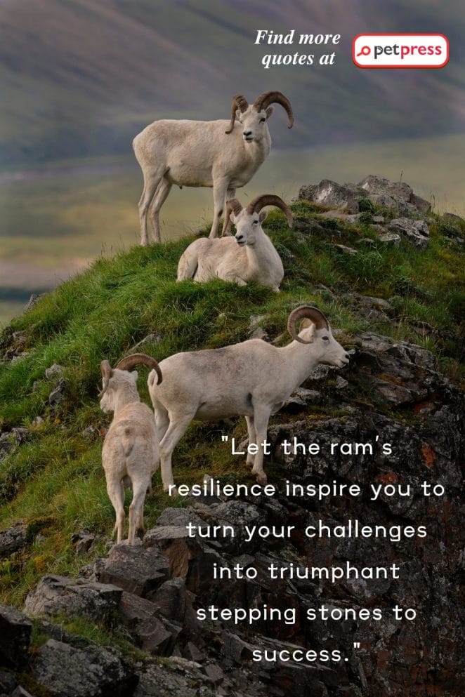 inspiring best ram quotes