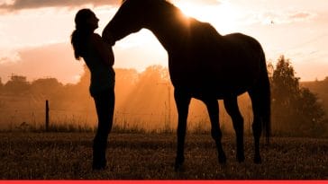 Inspiring Horse Quotes