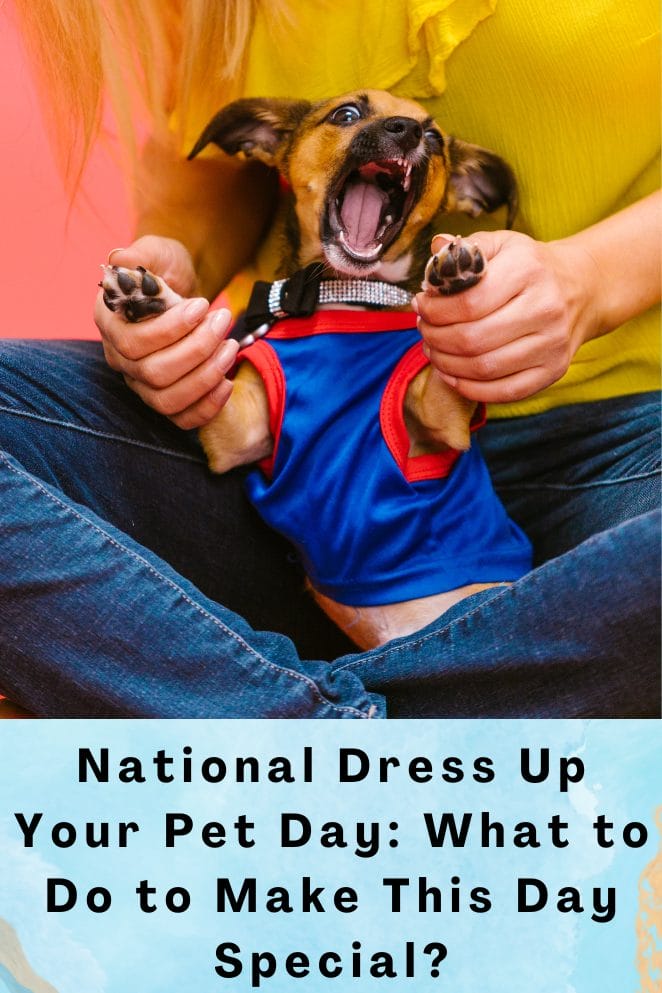 Celebrate National Dress Up Your Pet Day