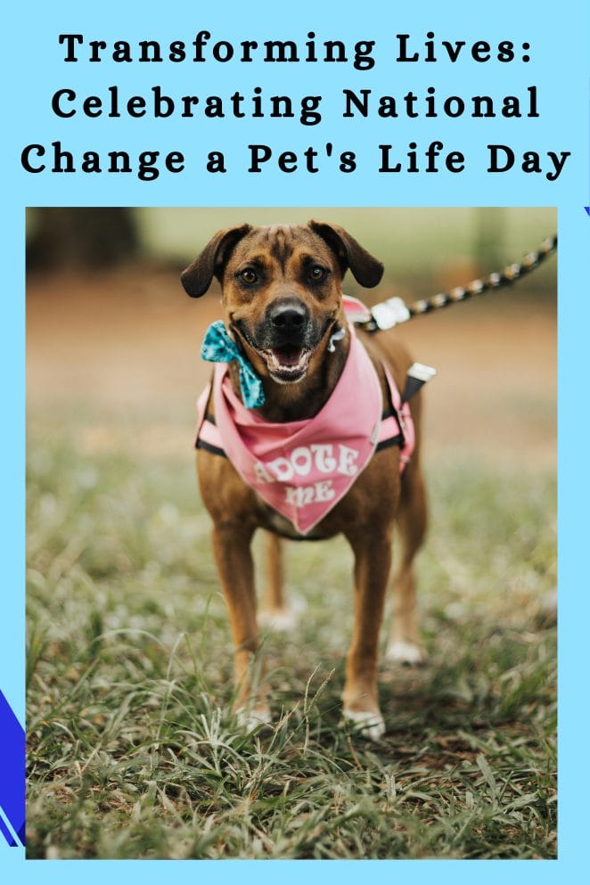Change a Pet's Life Day
