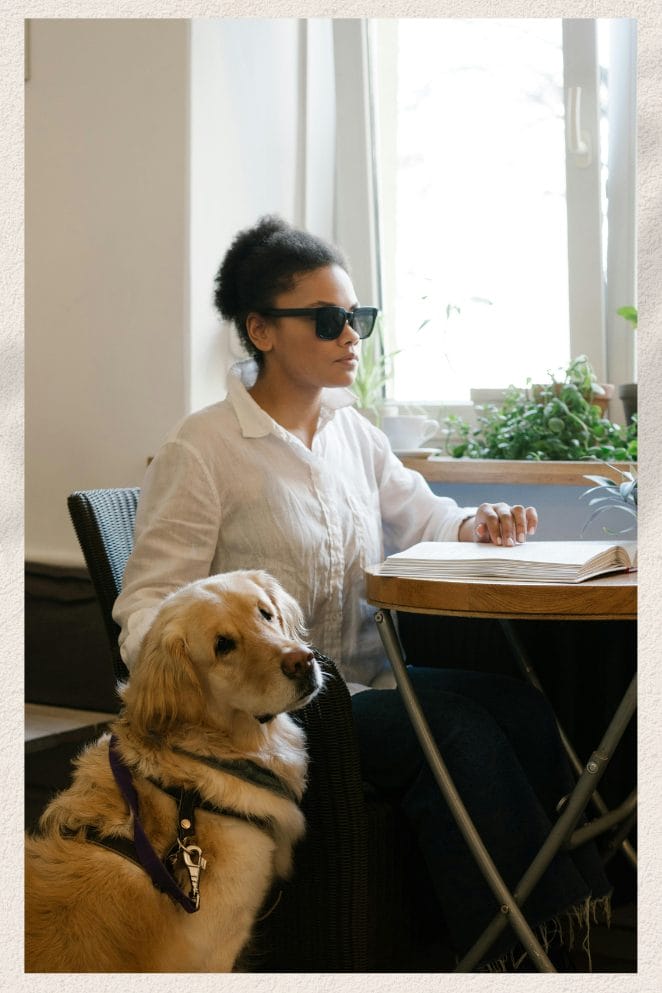 Seeing Eye Guide Dog 