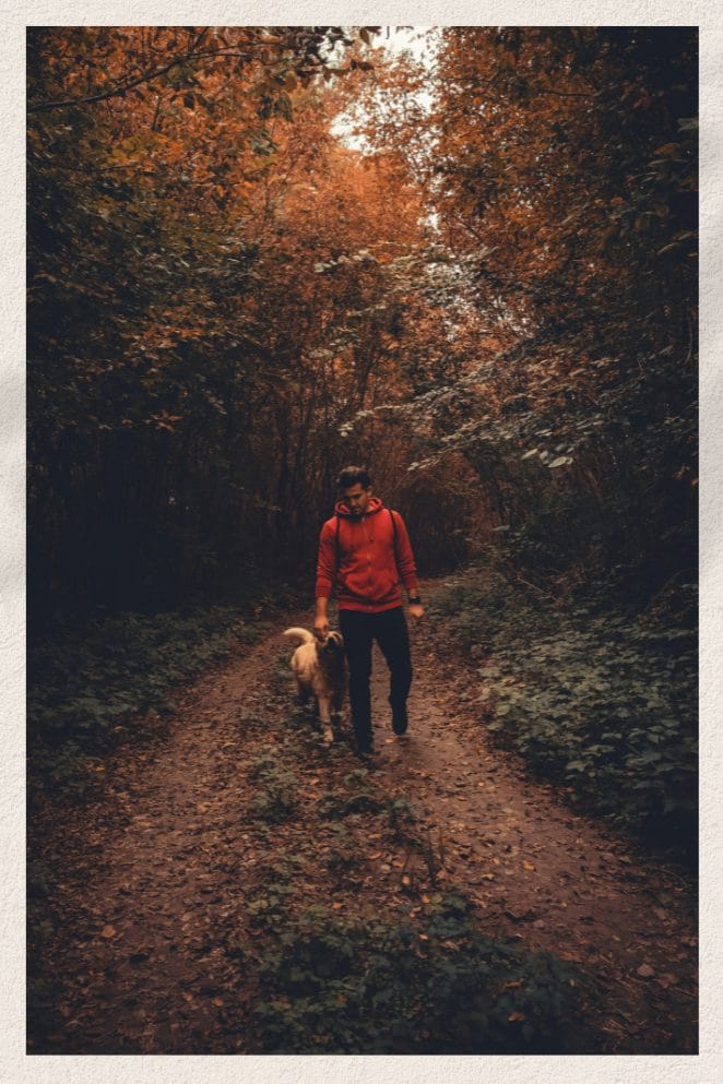 Seeing Eye Guide Dog