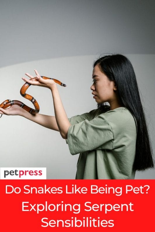 Do Snakes Like Being Pets? Exploring Serpent Sensibilities
