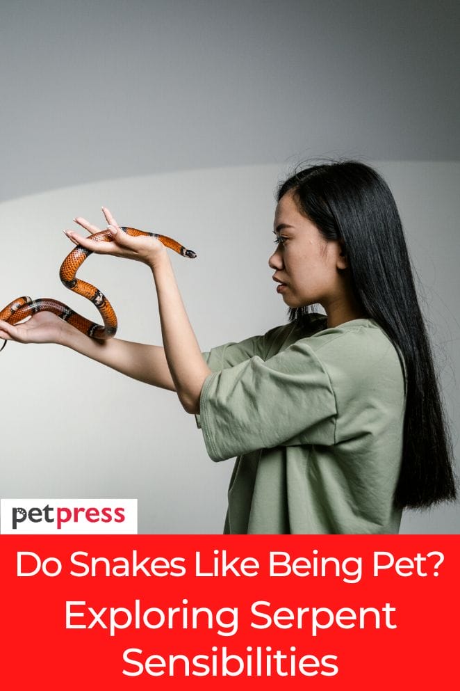 do snakes like being pet