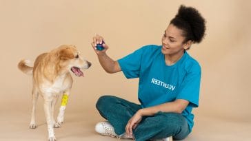 Change a Pet's Life Day