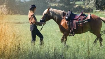 put-bridle-on-horse