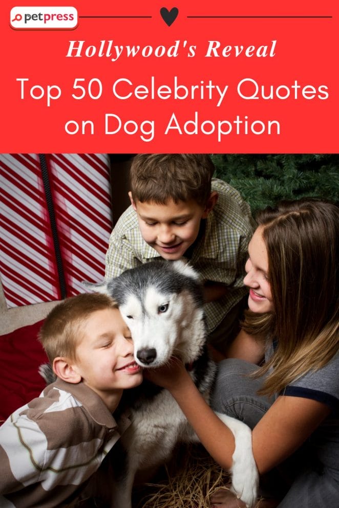 Celebrity Quotes on Dog Adoption