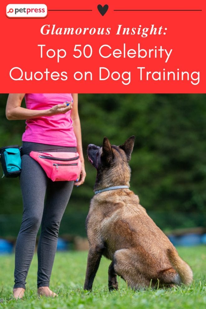 Celebrity Quotes  on Dog Training