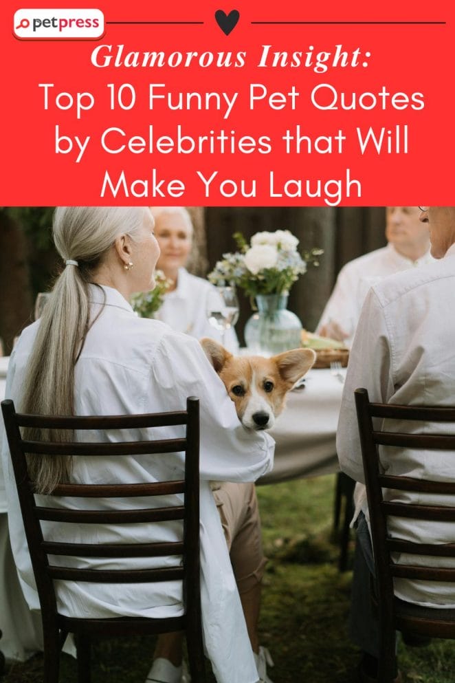 Funny Pet Quotes by Celebrities