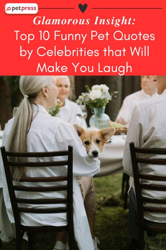 Funny Pet Quotes By Celebrities That Will Make You Laugh PetPress funny-pet-quotes-by-celebrities-that-will-make-you-laugh-petpress