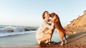 Dog Love Quotes