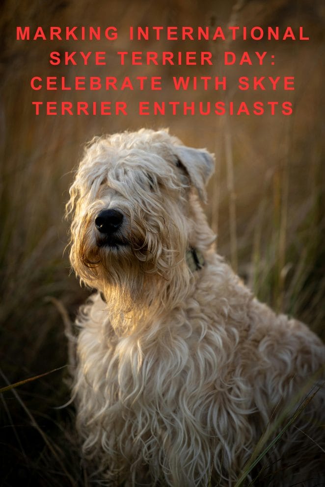 Skye Terrier Day