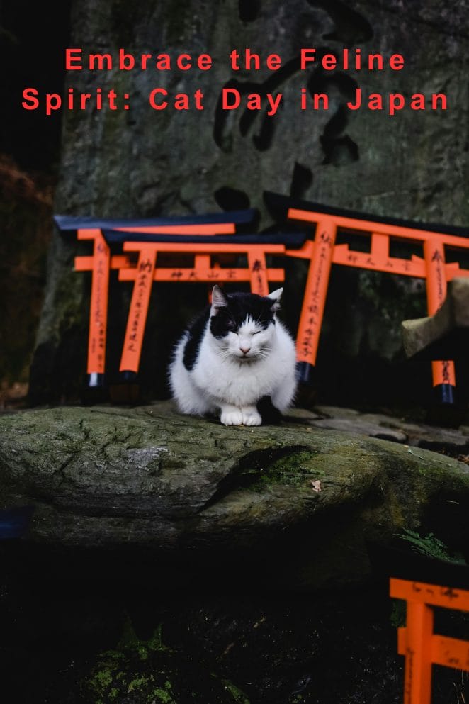 Cat Day in Japan Embrace the Feline Spirit PetPress