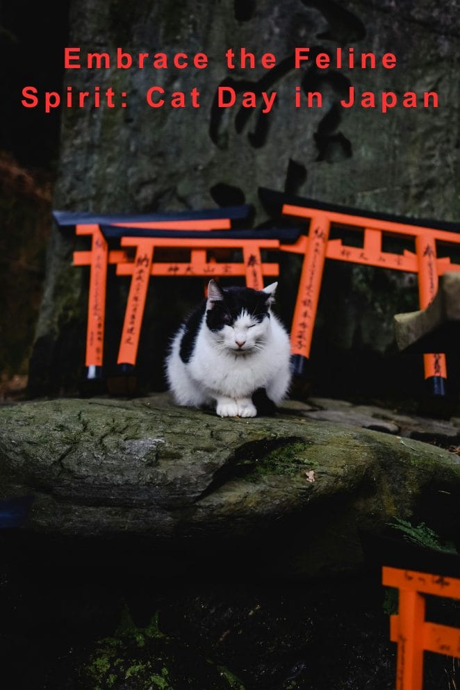 Cat Day in Japan