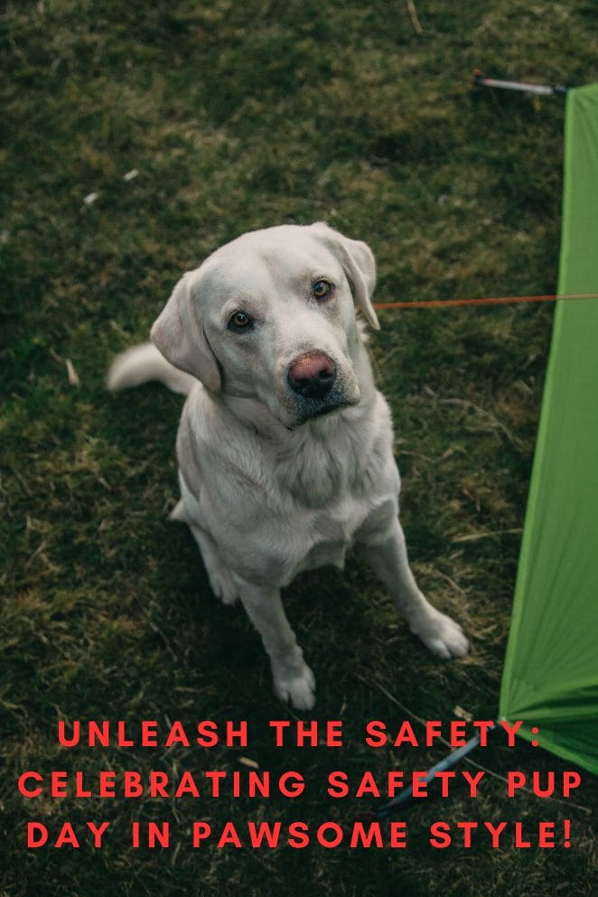 Safety Pup Day