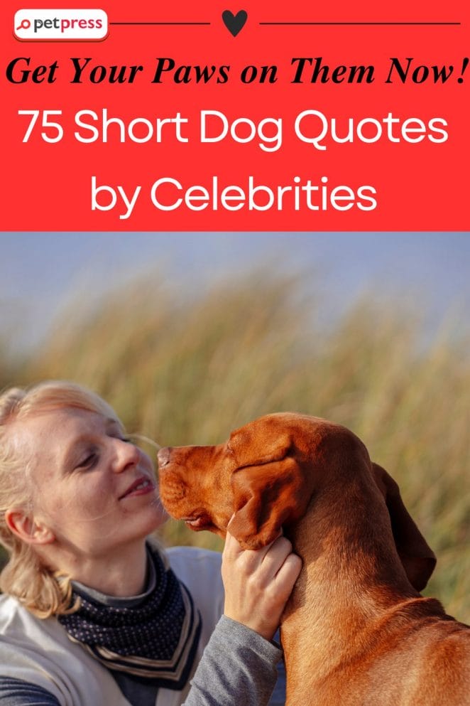  Short Dog Quotes by Celebrities