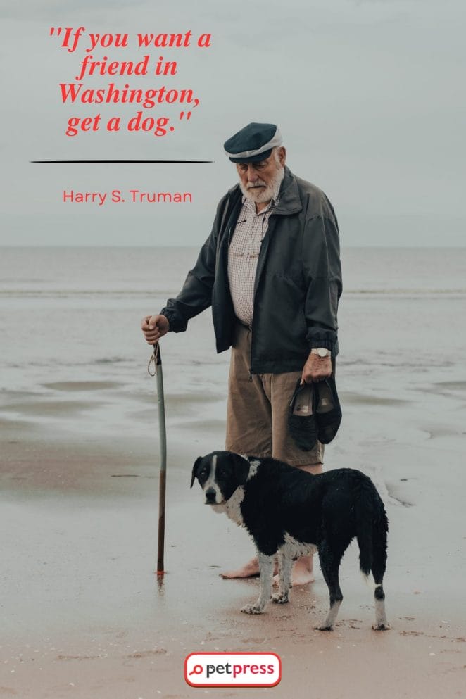 Short Dog Quotes by Celebrities