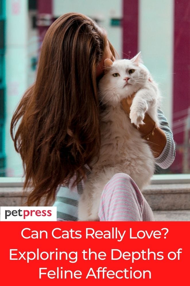 can cats truly love