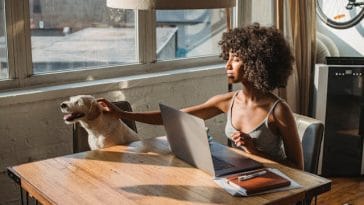 dog-care-in-apartments