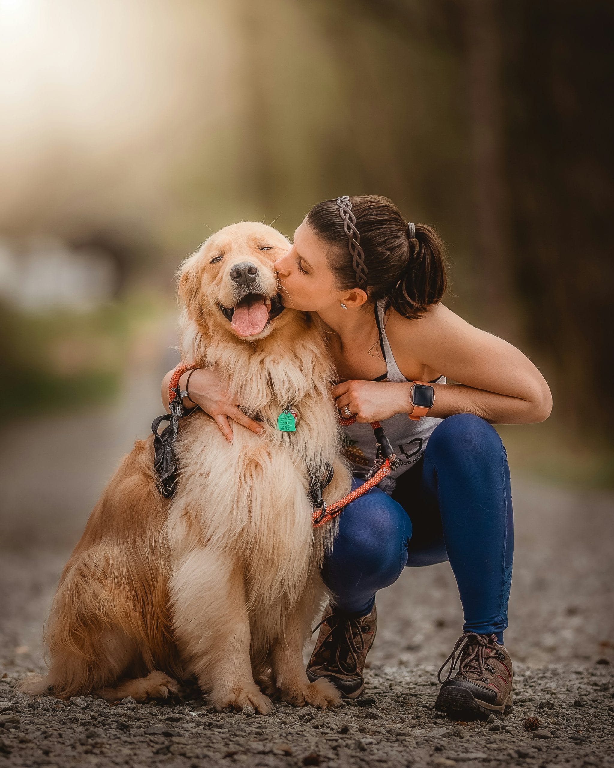 National Golden Retriever Day