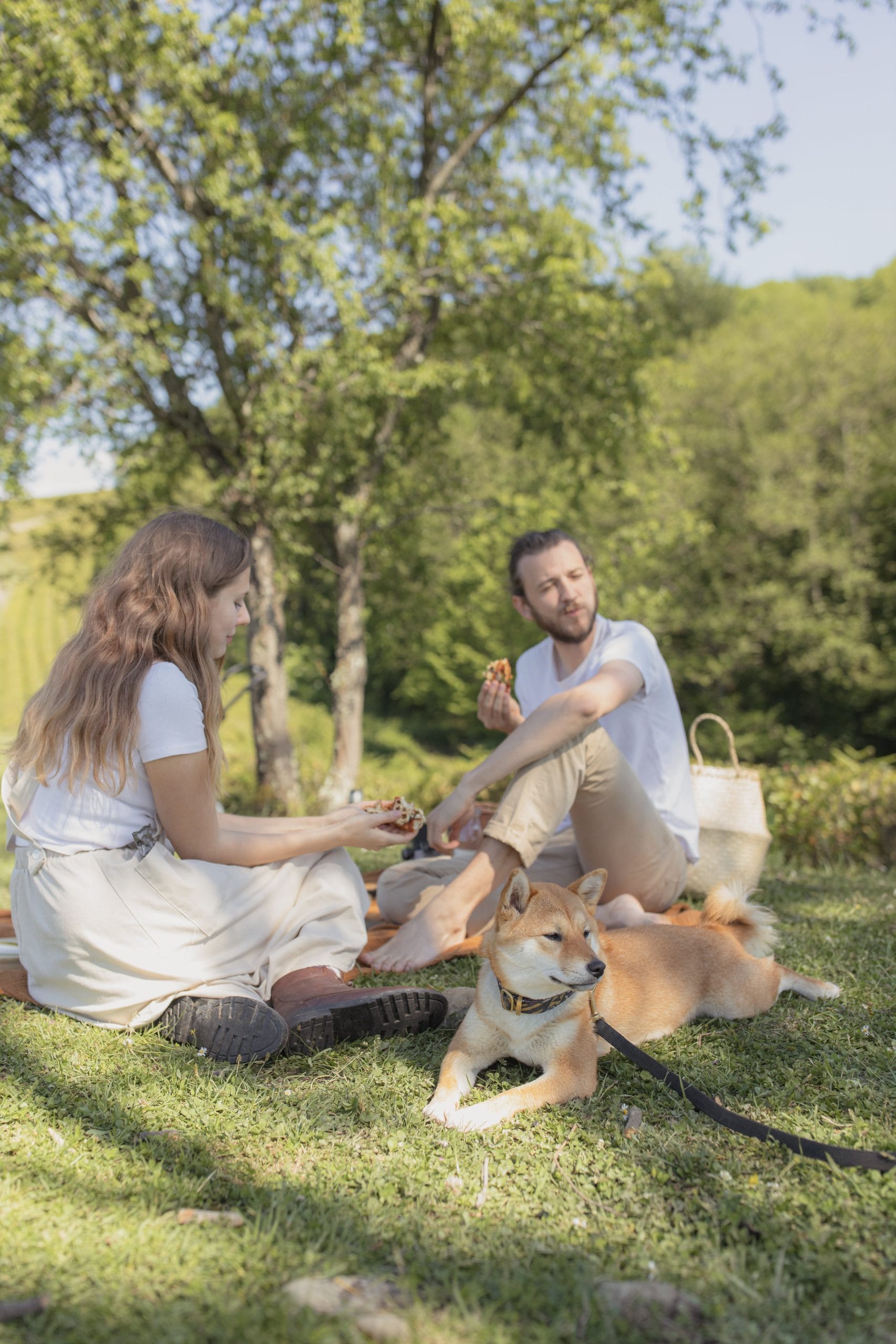 picnic with dog 