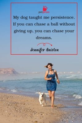 75 Heartfelt Quotes About Dogs by Celebrities - PetPress