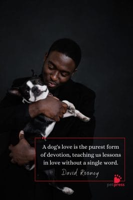 75 Heartfelt Quotes About Dogs by Celebrities - PetPress