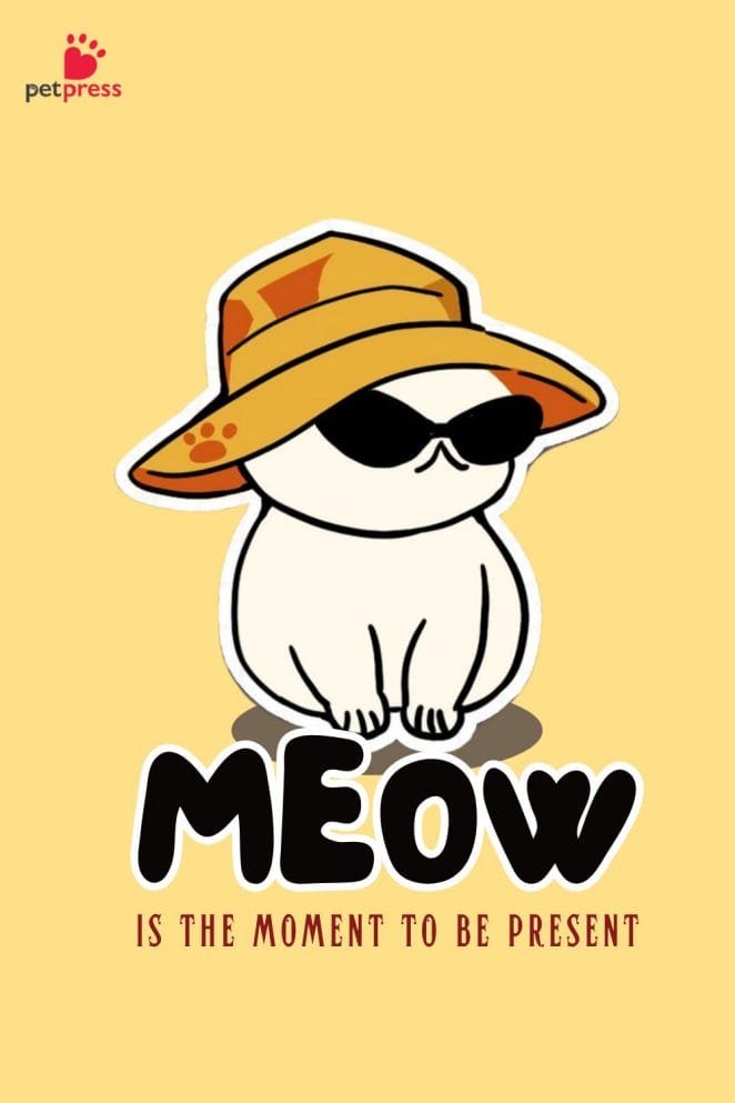 Cat Puns Quotes for T-Shirts yellow meow