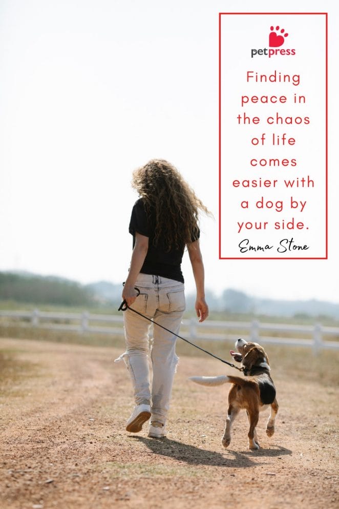 Heartfelt Quotes About Dogs by Celebrities