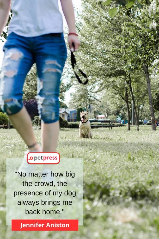 Inspirational Dog Owner Quotes by Celebrities