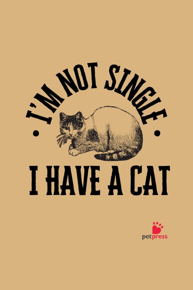 Cat Puns Quotes for T-Shirts single