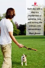 75 Heartfelt Quotes About Dogs by Celebrities - PetPress