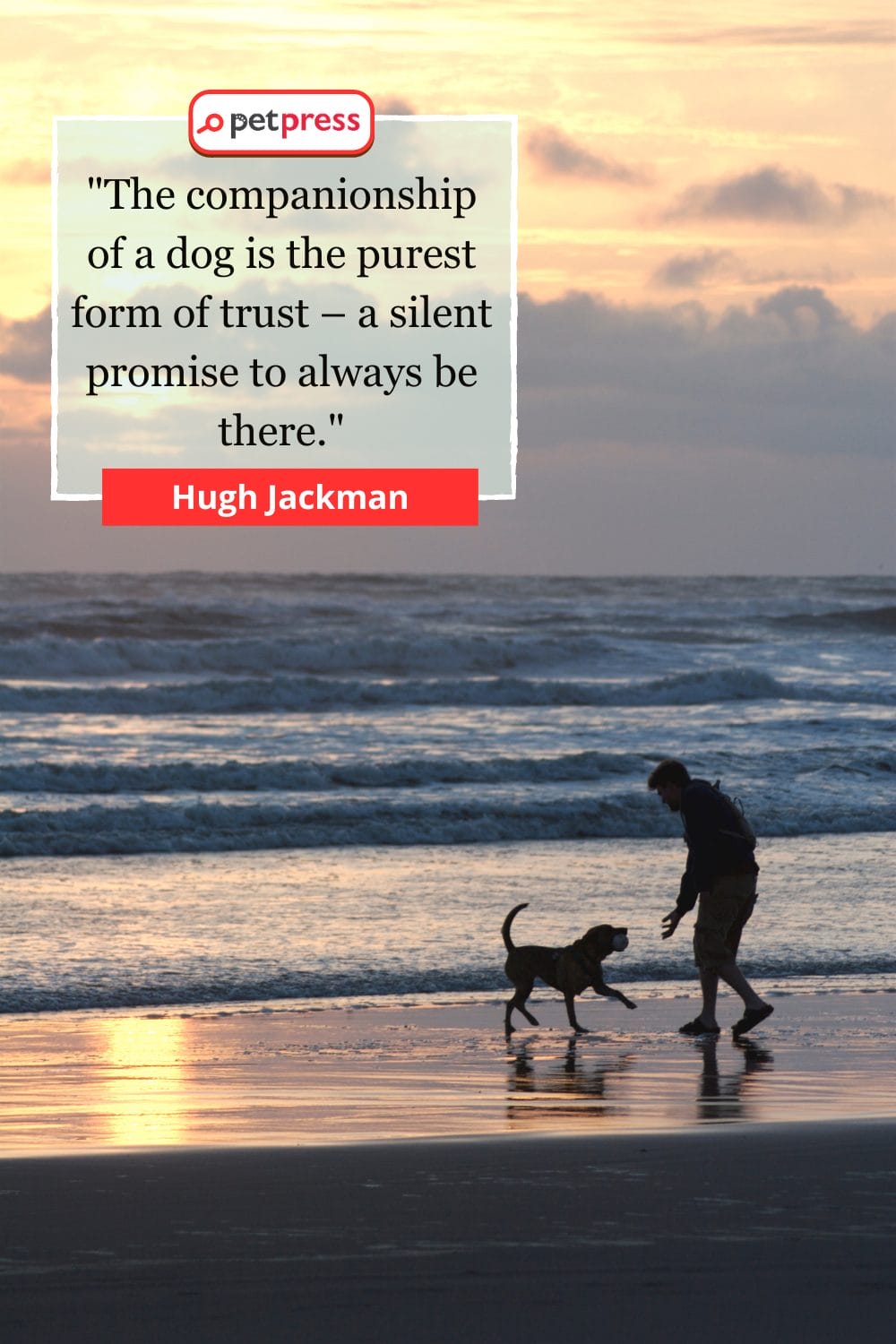 Inspirational Dog Owner Quotes by Celebrities